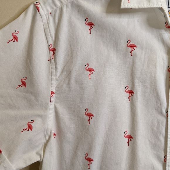 NWT DENIM & FLOWER flamingo poplin print top size XS - Picture 3 of 7